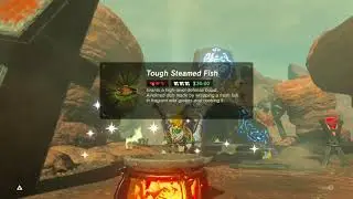 BotW | You can get a high level 30 minute defense with simply 3 items?