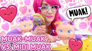 Muak-Muak vs. Mini-Muak 💖😜 Mini-Muak the MINI-BELLIE has broken BELLY-TECKY!