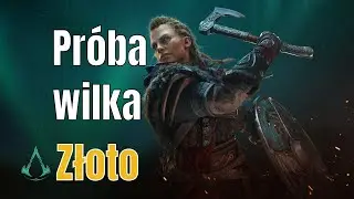 Zagrajmy w Assassins Creed Valhalla (PL) Stanica Calleva - Pr&oacute;ba wilka - Złoto [XSX]