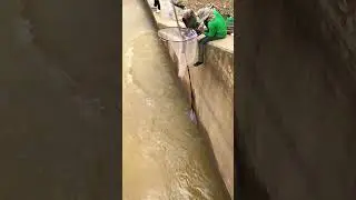 Amazing Deep Fishing So Shock #fishing #fish #satisfying #bassfishing