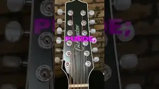 Takamine EF381DX #ac&uacute;stica