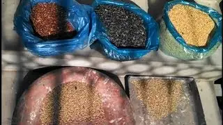 Do you know? I Which seeds giving  as breeding formula whole year?for All indian parrot.