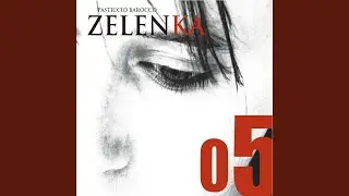 Sonata No. 5 in F Major, ZWV 181: I. Allegro