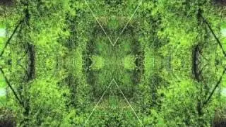 Tranquility Bass (David Duchow)
