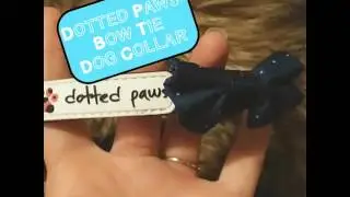 Dotted Paws Bow Tie Dog Collar