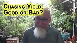 Is It Good To Chase Yield, Chasing Dividend Stocks With Good Yields