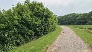 Sandwell  valley  park part one