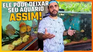 UMA LIÇÃO DE COMO CRIAR PEIXE! Wilson Aquarismo parte 1