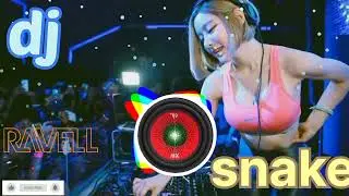 #dj #music #song dillon francis  dj song dj snake  songs mast dj song