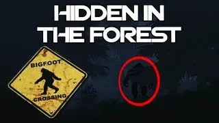The WarZ BigFoot Yeti Sasquatch - HIDDEN IN THE FOREST [HD TRAILER]