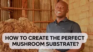 How to Create the Perfect Mushroom Substrate #mushroomfarming #agriculture #viralvideo #viralshorts