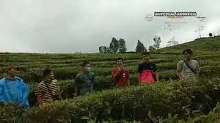 TEA WALK &bull; HIKING &bull; LEMBANG BANDUNG &bull; GRACIA &bull; CIATER &bull; SARI ATER &bull; SUBANG &bull; AMAZING RACE GAMES
