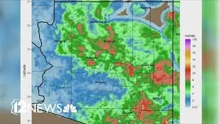 Monsoon 2024: Why was it hotter and drier than normal?
