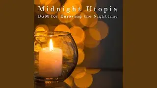 Nighttime Enchantment
