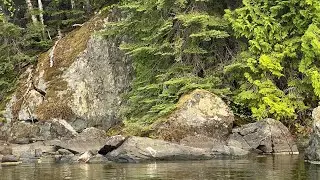 Ep. 4 - Eagle Lake Ontario - What Happens When the Fish Don&rsquo;t Bite? Partridge Point Life