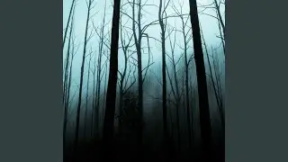 Horrifying Atmosphere