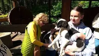 2025 Alaska - Part 6 - Juneau and Sled Dog Kennels