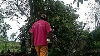 Sabado patuloy nang linis