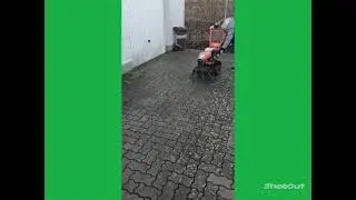 Nimos Wildkrautb&uuml;rste stelle ich euch vor Gartenpflege