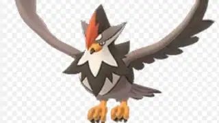 Raid d&rsquo;&Eacute;touraptor