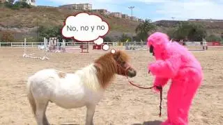 eAnuncios.com , web de anuncios clasificados nuevos y de segunda mano.