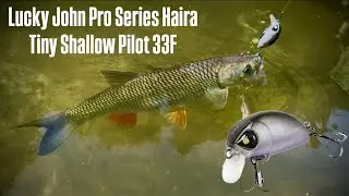 Lucky John Haira Tiny Shallow 33F|ЦЕЙ ВОБЛЕР ПРАЦЮЄ БЕЗВІДКАЗНО❗️❗️❗️