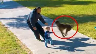 10 ANIMALS THAT SAVED PEOPLE'S LIVES