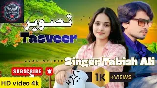Tasveer |Saraiki song 2026| singer tabish Ali | @Ayanstudio-b1v  #duet #song #saraikimusic #music 