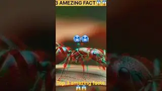 3 amazing facts #animals🥶😱  #factshorts #short video