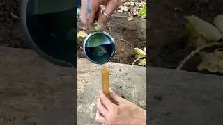 Made a candle in the wild&hellip; 🕯️ #Survival #Bushcraft #CandleMaking #DIY #NatureSkills #OutdoorLife