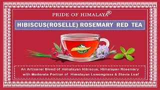 PRIDE OF HIMALAYA ROSEMARY TEA| HIBISCUS TEA WITH ROSEMARY FLAVOR| DETOX HIBISCUS TEA