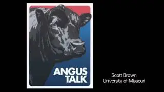 Angus Talk: Scott Brown: Opportunities in producing higher-quality beef