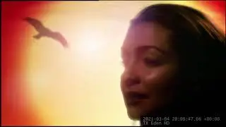 Eden Ident Natural Curiosities, Continuity | Aileen Downey Irish Female Voiceover Artist