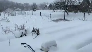 Наш розсадник рослин зимою 