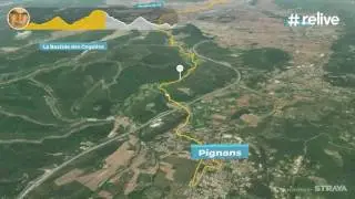 PIGNANS