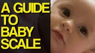 A Guide to Baby Scales