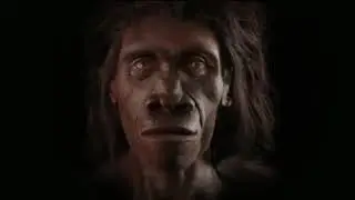 CRIOSFERA THE MOVIE. DIRECTED BY DOMINGO FERRANDIS