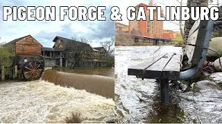 Heavy Rain In Pigeon Forge & Gatlinburg Tennessee (March 2023)