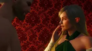 How to spend 40 coins in witcher 3