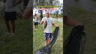 Pescaria de til&aacute;pia #recantodasaguas