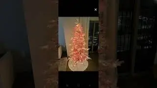Она воздерживалась от половых отношений до замужества, а теперь помолвлена, и злые мужчины разгне...