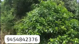 1210 Sqft Park facing Residential Plot sale Madhav Green City A block #Gomti Nagar Lucknow#