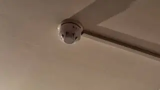 Apollo S65 Sounder Base Installed