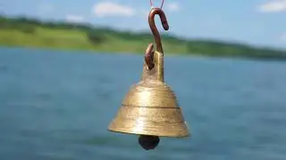 На лов за бракониери - акция на доброволци