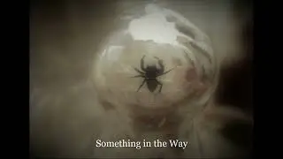 Something in the Way | James Lassiter
