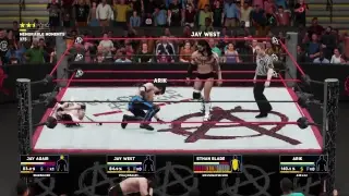 Anarchy Pro Wrestling