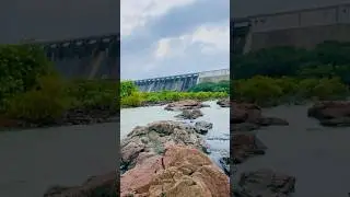 🔥Nature lovers🔥 #love #shortvideo #travel #youtube #photography