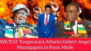 WATCH: Tungwarara Attacks Uebert Angel In Public, Mnangagwa In Panic Mode😳