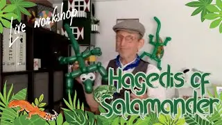 Hagedis | Salamander -Ballonworkshop | Haagse ballonnenboer - Lizard balloon