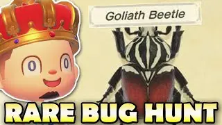 🐛 [JUNE] CATCHING ALL NEW BUGS! Animal Crossing New Horizons RARE BUG HUNT!
